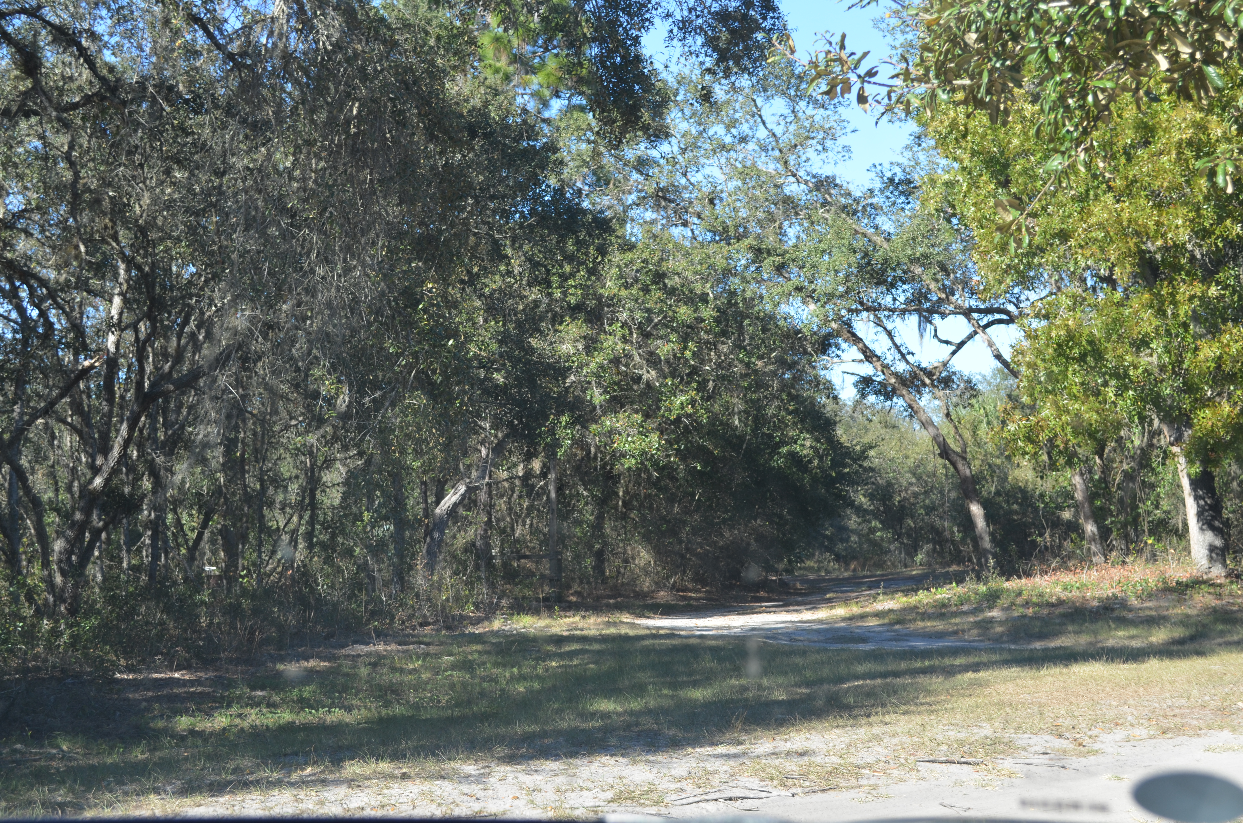 ./2016/24 - Miami/DSC_0302.JPG